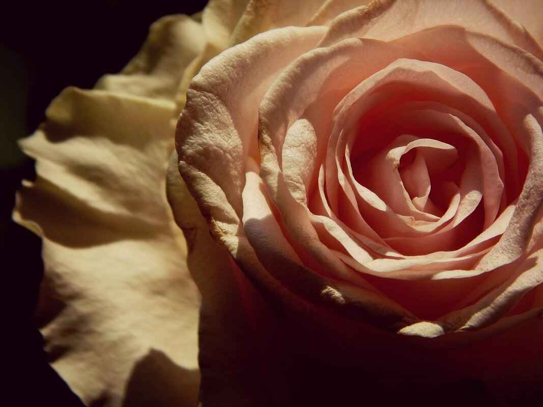 Understanding the West Bengal State Lottery: How It Works and Tips for Winning 6 Conclusion: Embracing the West Bengal State Lottery