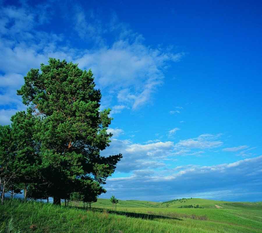 Social Media and Marketing Strategies