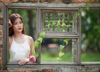 Unraveling the Popularity of Asian Massage Blowjob Videos Unraveling the Popularity of Asian Massage Blowjob Videos