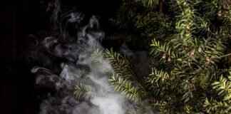 Vaping & ADHD: Can Nicotine Help with Focus? Vaping & ADHD: Can Nicotine Help with Focus?