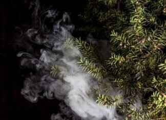 Vaping & ADHD: Can Nicotine Help with Focus? Vaping & ADHD: Can Nicotine Help with Focus?