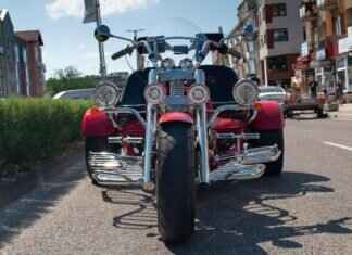 Veggie Choppers Near Me: Where to Buy the Best Vegetable Choppers in the US Veggie Choppers Near Me: Where to Buy the Best Vegetable Choppers in the US