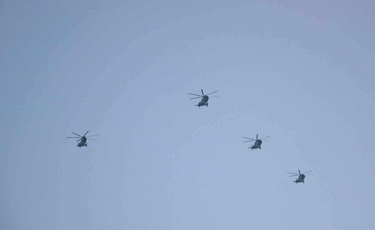 Veggie Choppers Near Me: Where to Buy the Best Vegetable Choppers in the US 4 Local Retail Options for Vegetable Choppers