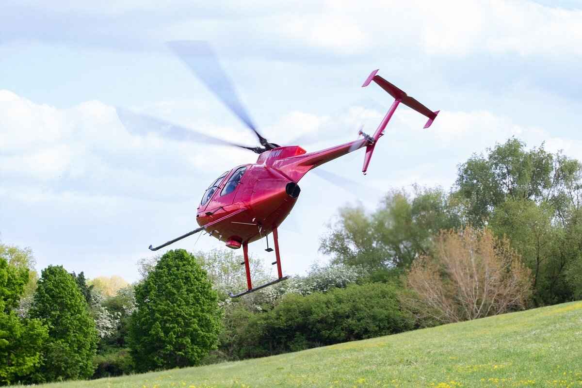 Veggie Choppers Near Me: Where to Buy the Best Vegetable Choppers in the US 2 Top Features to Look for in a Vegetable Chopper