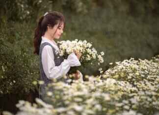 Vietnamese Cuisine: Fresh Herbs, Noodles, and Savory Broths Vietnamese Cuisine: Fresh Herbs, Noodles, and Savory Broths