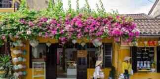 Vietnam’s Street Food Culture: What You Need to Try Vietnam’s Street Food Culture: What You Need to Try