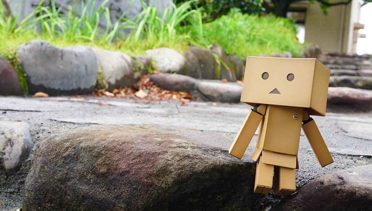 Future Developments and Updates for Vuianime