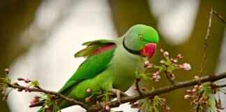 West Bengal: An Emerging Leader in Education and Innovation West Bengal: An Emerging Leader in Education and Innovation