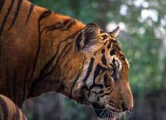 West Bengal Board of Primary Education: Key Changes and Updates You Should Know West Bengal Board of Primary Education: Key Changes and Updates You Should Know