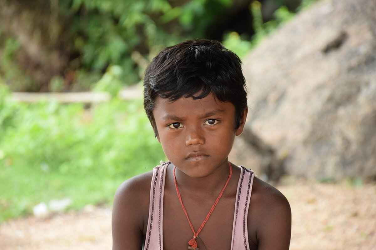 Understanding the Political Landscape of West Bengal