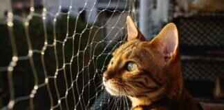 West Bengal Election Results 2019: A Comprehensive Analysis West Bengal Election Results 2019: A Comprehensive Analysis