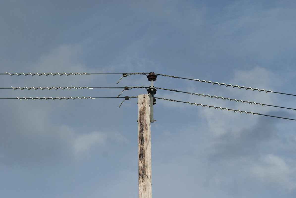 Conclusion: The Future of Electricity in West Bengal