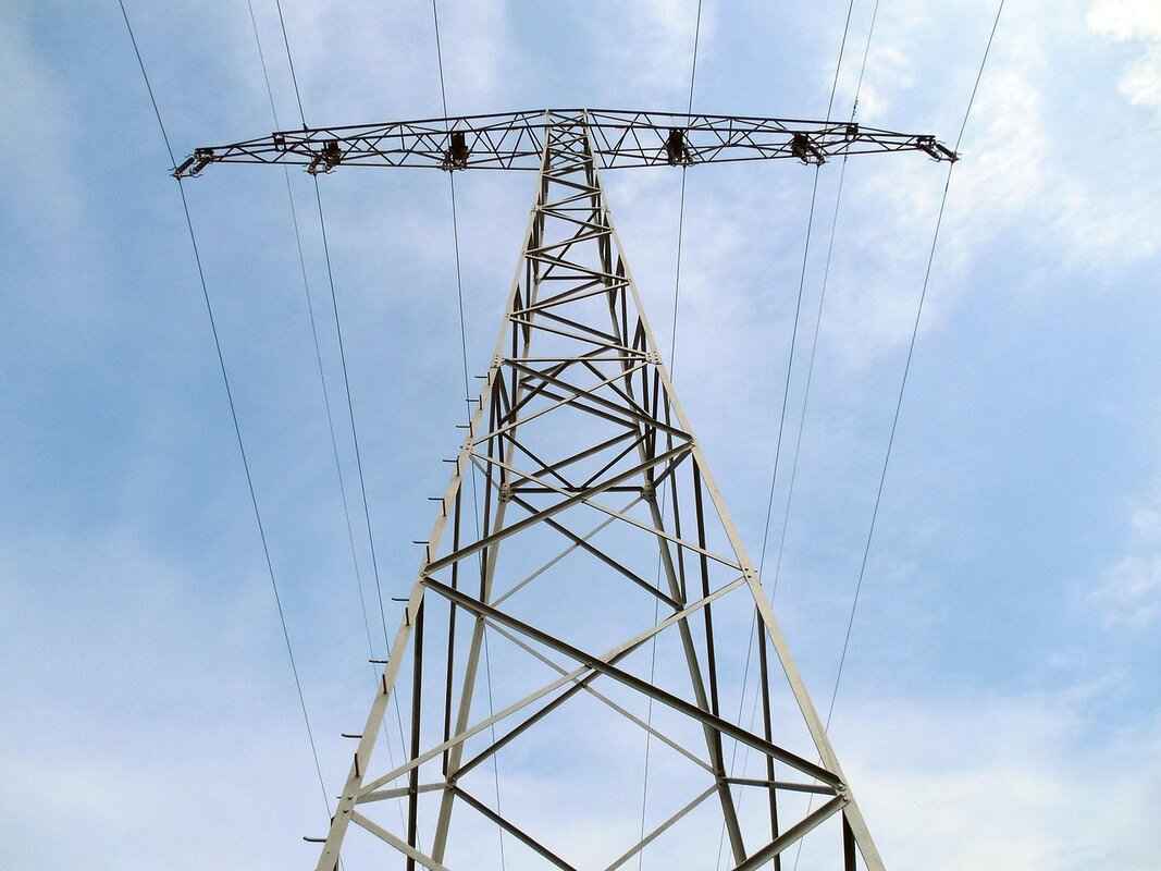 Key Players in West Bengal's Power Sector