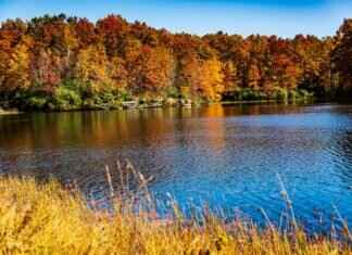 West Bengal in 2024: Major Changes You Need to Know West Bengal in 2024: Major Changes You Need to Know