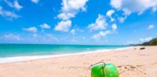 West Bengal Lottery Result: How to Check Your Winning Numbers Online West Bengal Lottery Result: How to Check Your Winning Numbers Online