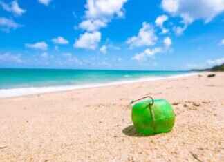 West Bengal Lottery Result: How to Check Your Winning Numbers Online West Bengal Lottery Result: How to Check Your Winning Numbers Online