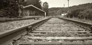 West Bengal Lottery Result Today: How to Find Your Lucky Number West Bengal Lottery Result Today: How to Find Your Lucky Number