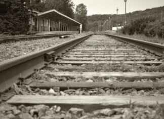 West Bengal Lottery Sambad Results: How to Find Your Winning Number West Bengal Lottery Sambad Results: How to Find Your Winning Number