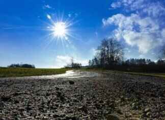 West Bengal’s Fight Against Climate Change: Initiatives and Actions # West Bengal’s Fight Against Climate Change: Initiatives and Actions West Bengal’s Fight Against Climate Change: Initiatives and Actions # West Bengal’s Fight Against Climate Change: Initiatives and Actions