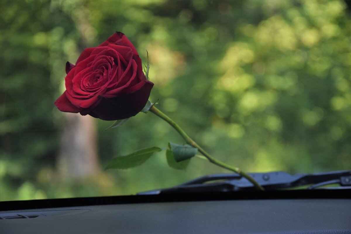 How Do You Maintain Windshield Wipers for Longevity?