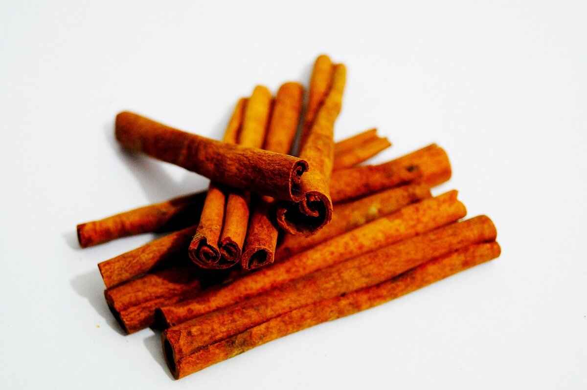 Steps to Take When a Product is Defective