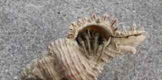 What Can I Do If My Tenant Doesn’t Pay Rent? What Can I Do If My Tenant Doesn’t Pay Rent?