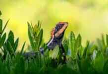 What Did Emma Stone Win an Oscar For? A Look at Her Award-Winning Performance What Did Emma Stone Win an Oscar For? A Look at Her Award-Winning Performance