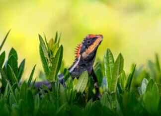 What Did Emma Stone Win an Oscar For? A Look at Her Award-Winning Performance What Did Emma Stone Win an Oscar For? A Look at Her Award-Winning Performance