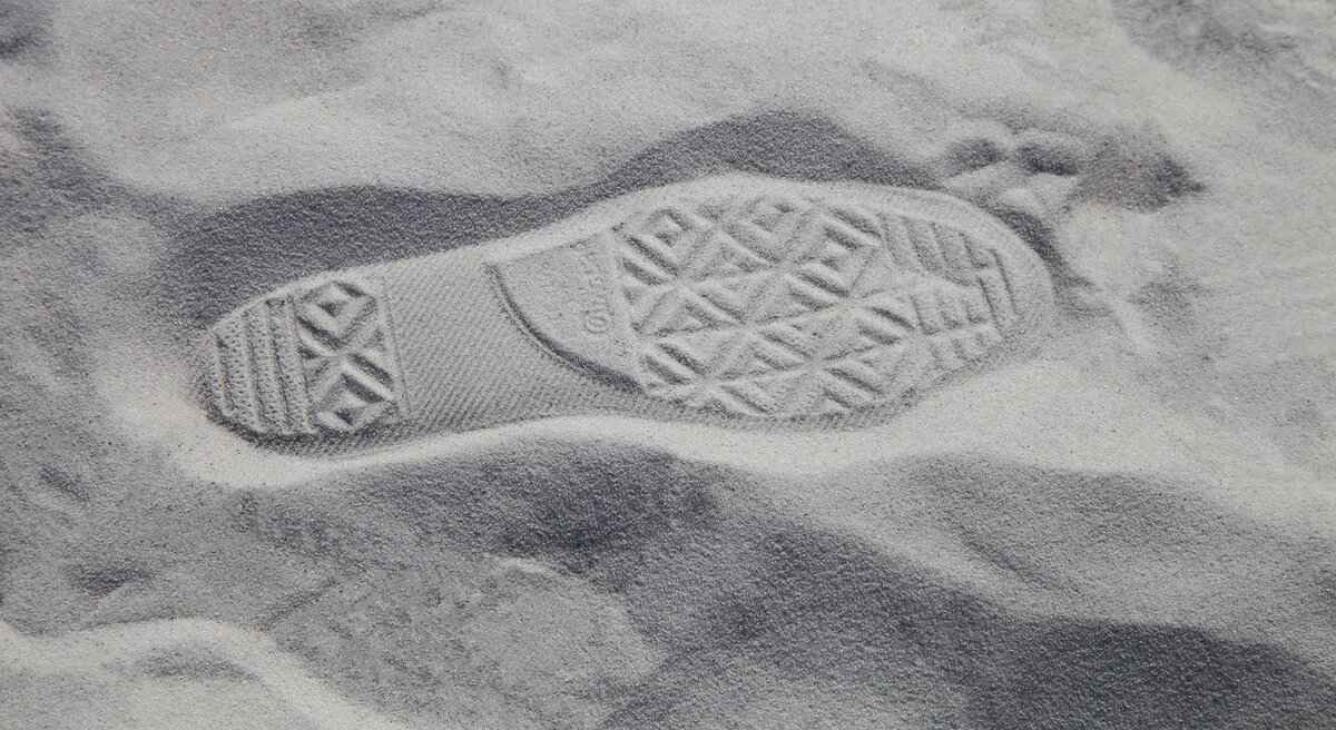 Köpek Isırma Davasında Hangi Kanıtlar Gerekir?