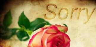 What Factors Does a Judge Consider in Alimony Cases? What Factors Does a Judge Consider in Alimony Cases?