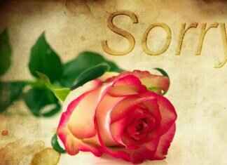 What Factors Does a Judge Consider in Alimony Cases? What Factors Does a Judge Consider in Alimony Cases?