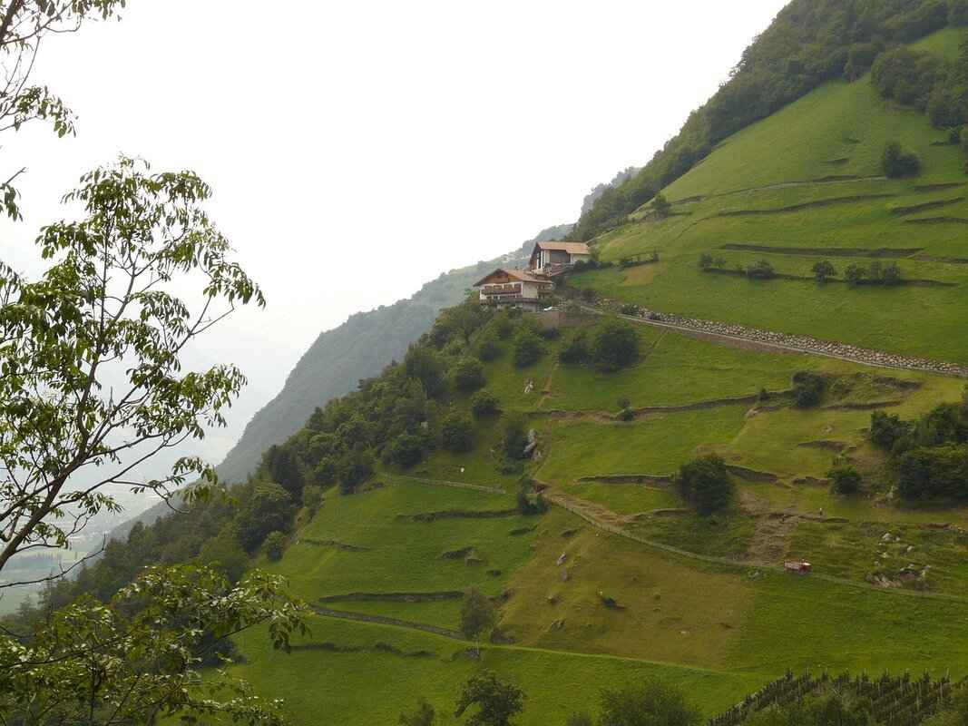 Preventive Measures for Debt Management