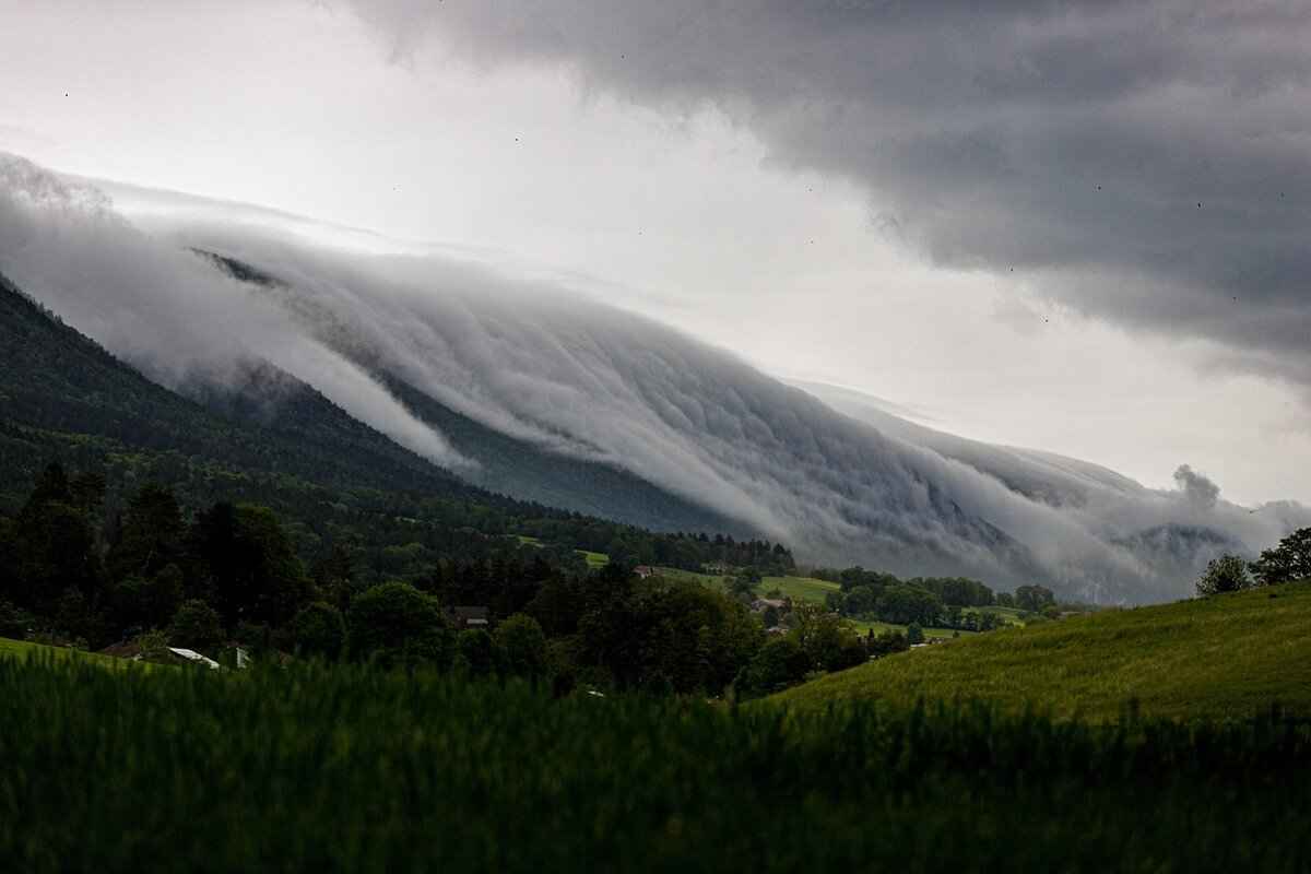 What Is a Forced Share in Inheritance Law? 4 Disputes Over Forced Shares