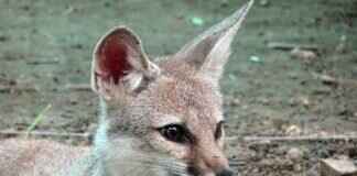 What is the Population of West Bengal in 2024? Key Stats You Need to Know What is the Population of West Bengal in 2024? Key Stats You Need to Know