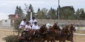 What Is the Time Limit for Filing an Inheritance Claim? What Is the Time Limit for Filing an Inheritance Claim?