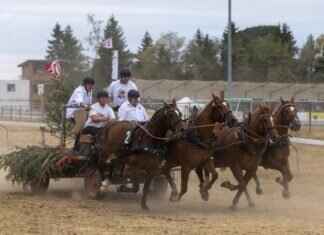 What Is the Time Limit for Filing an Inheritance Claim? What Is the Time Limit for Filing an Inheritance Claim?