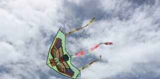 What Kind of Windshield Wipers Do I Need for My Car? What Kind of Windshield Wipers Do I Need for My Car?