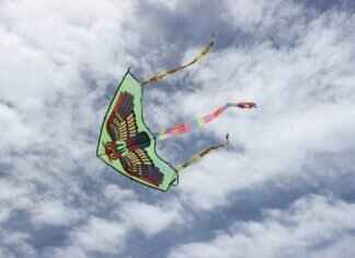 What Kind of Windshield Wipers Do I Need for My Car? What Kind of Windshield Wipers Do I Need for My Car?