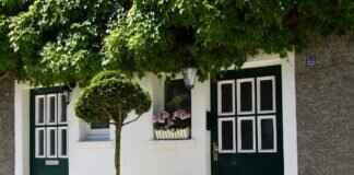 What Makes a Good Windshield Wiper? Features to Look For What Makes a Good Windshield Wiper? Features to Look For