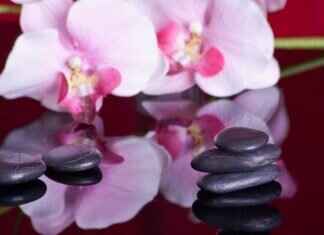 What Makes Asian Massage Techniques So Effective and Popular? What Makes Asian Massage Techniques So Effective and Popular?