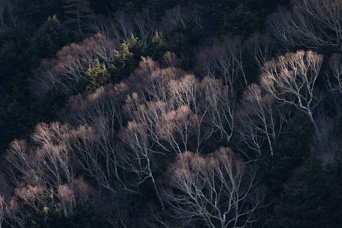 What Makes Purulia West Bengal a Perfect Getaway for Nature Lovers? 7 7. Accommodation Options in Purulia