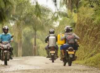 What Makes West Bengal’s Agriculture Sector So Important to the Indian Economy What Makes West Bengal’s Agriculture Sector So Important to the Indian Economy