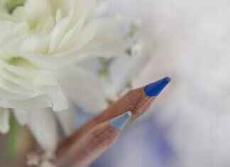 What Should I Do If I Experience Workplace Harassment? What Should I Do If I Experience Workplace Harassment?