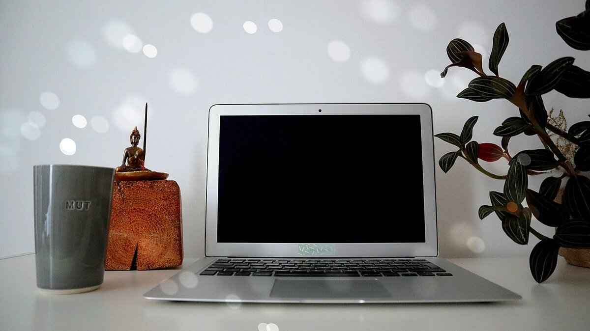 Steps to Take if You Experience Harassment