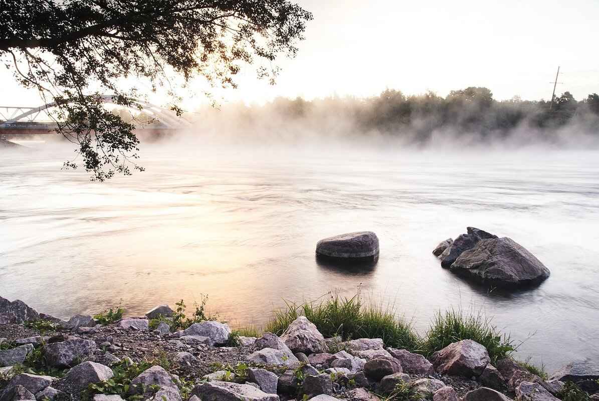 What to Do If a Bank Charges an Unauthorized Fee? 2 Common Types of Unauthorized Fees