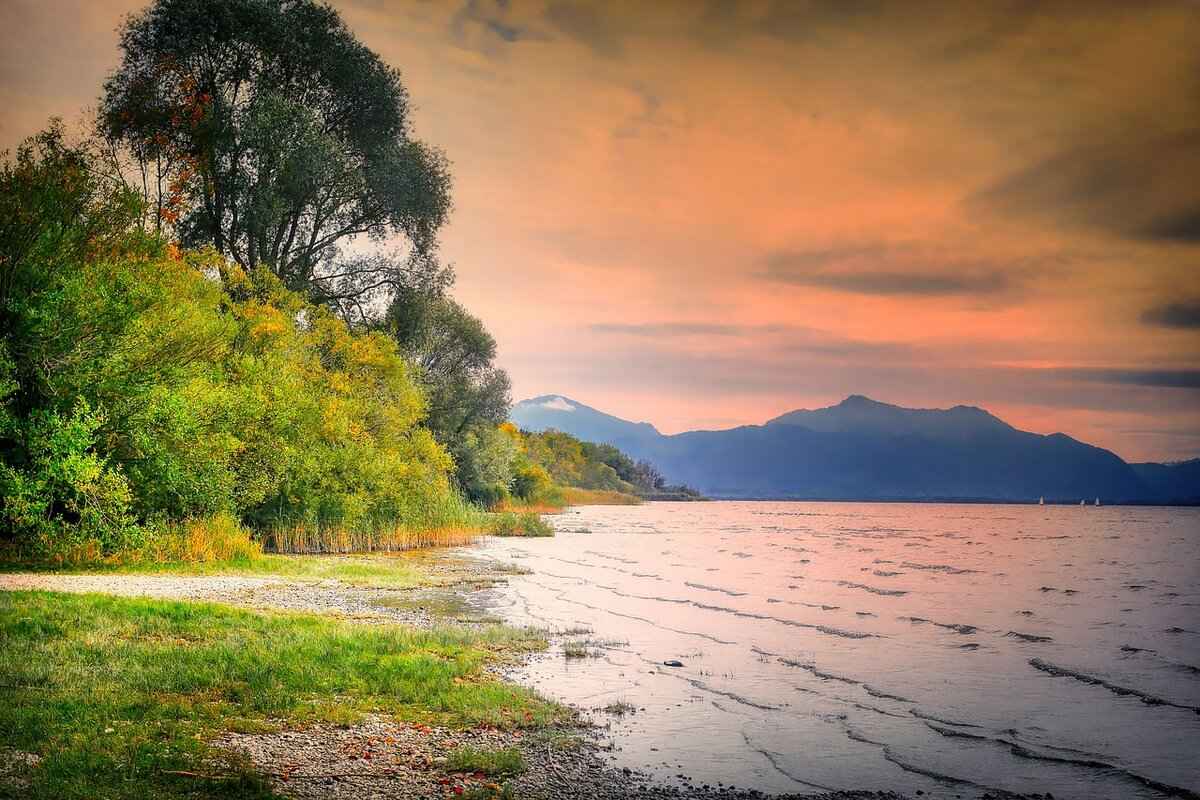 What to Do If a Bank Charges an Unauthorized Fee? 3 Steps to Take When You Encounter Unauthorized Fees