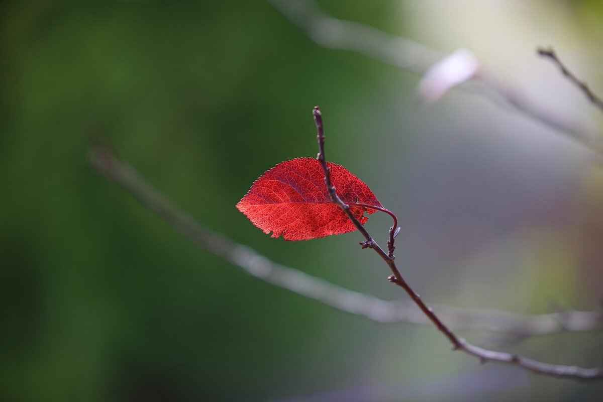 What to Do If My Spouse Doesn't Want a Divorce? 2 Common Reasons for Spousal Resistance