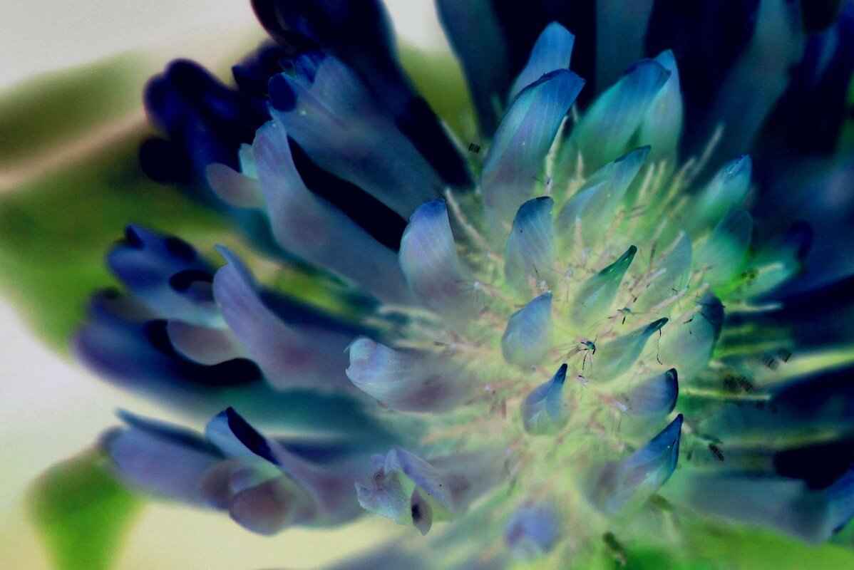 Your Immediate Actions Post-Arrest