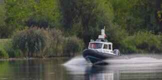 What to Expect at a Paw Patrol Live Show What to Expect at a Paw Patrol Live Show