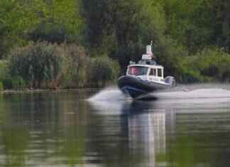 What to Expect at a Paw Patrol Live Show What to Expect at a Paw Patrol Live Show